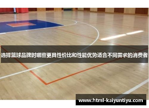 选择篮球品牌时哪些更具性价比和性能优势适合不同需求的消费者